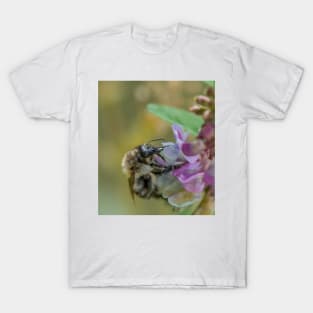 Bee 13 T-Shirt